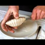 Comment reconnaître une vraie coquille St-jacques ?