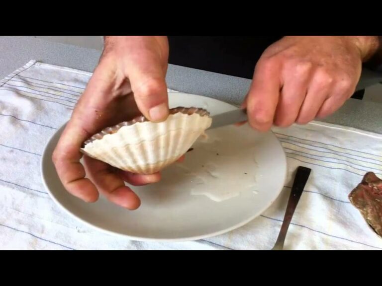 Comment reconnaître une vraie coquille St-jacques ?