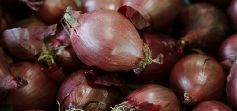 Comment remplacer l’ail et l’oignon ? Comment remplacer l'ail et l'oignon ?