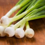 Comment remplacer les oignons nouveaux ?