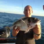 Comment s'appelle la dorade du Midi ?