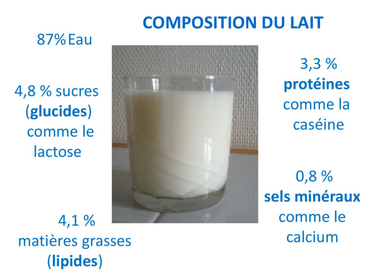 Comment s’appelle la matière grasse du lait ? Comment s'appelle la matière grasse du lait ?