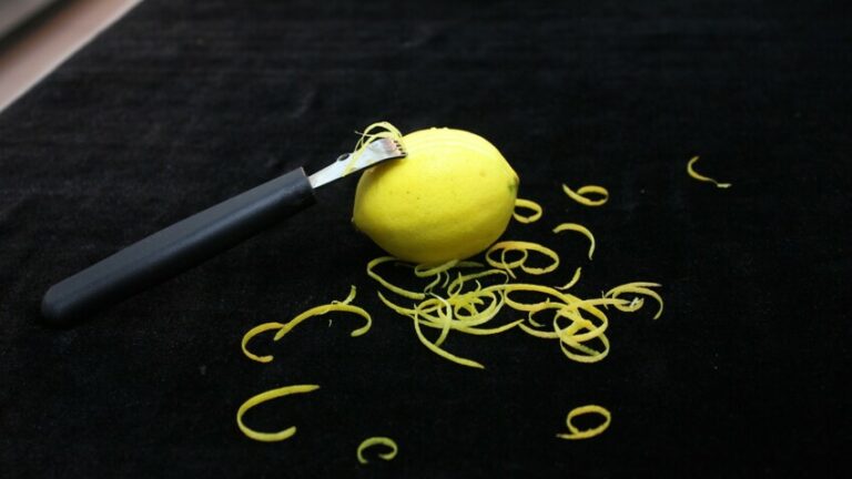 Comment s'appelle la partie blanche du citron ?