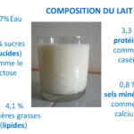 Comment s'appelle la protéine du lait ?