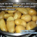 Comment s'appelle l'alcool de pomme de terre ?