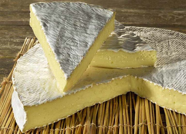 Comment s’appelle le fromage qui ressemble au roquefort ? Comment s'appelle le fromage qui ressemble au roquefort ?