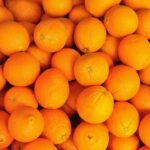 Comment s'appelle le fruit orange sur les gâteaux ?