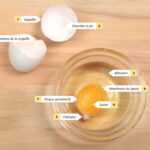 Comment s'appelle l'œuf dans la fondue ?