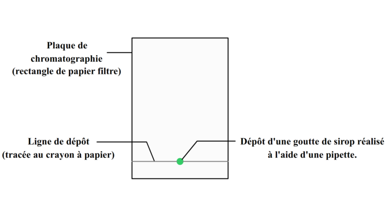 Comment s’appelle un panaché avec de la menthe ? Comment s'appelle un panaché avec de la menthe ?