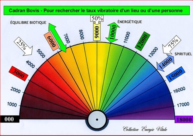 Comment s'appelle une règle à l'échelle ?
