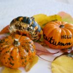 Comment s'appellent les petites citrouilles ?