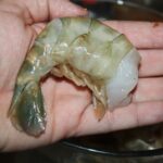 Comment savoir la grosseur des crevettes ?