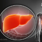 Comment savoir que le foie ne fonctionne pas bien ?