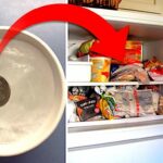 Comment savoir si c'est un freezer ou un congélateur ?