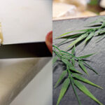 Comment savoir si la croûte du fromage se mange ?