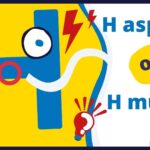 Comment savoir si le H est aspiré ou muet ?