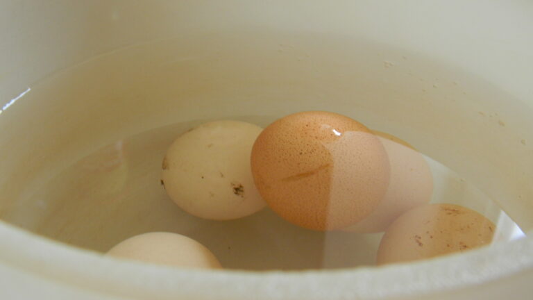 Comment savoir si le yaourt est pasteurisé ? Comment savoir si le yaourt est pasteurisé ?