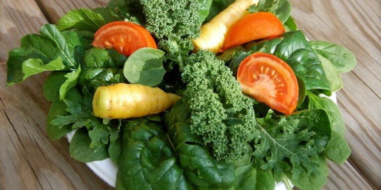 Comment savoir si les légumes sont encore bon ? Comment savoir si les légumes sont encore bon ?