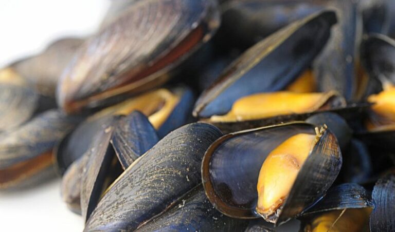 Comment savoir si les moules ne sont pas bonnes ?