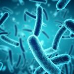 Comment savoir si l'on a la listériose ?