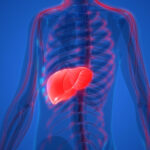 Comment savoir si on a une inflammation du foie ?