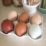 Comment savoir si on peut manger un œuf à la coque ?