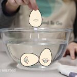 Comment savoir si un champignon est périmé ?