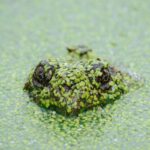 Comment savoir si un produit contient du gluten ?