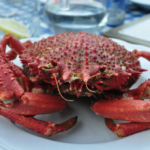 Comment savoir si une araignée est cuite ?