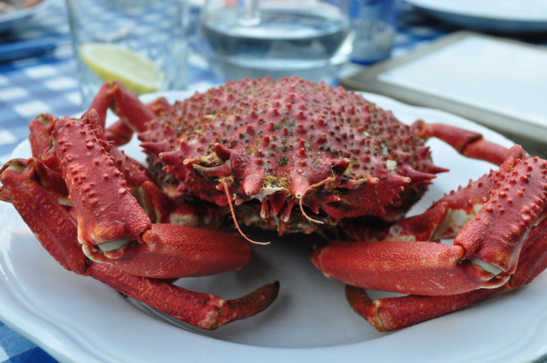 Comment savoir si une araignée est cuite ?