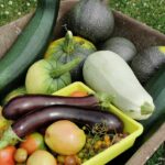 Comment savoir si une courgette est trop mûre ?