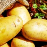 Comment savoir si une pomme de terre est mûre ?