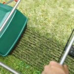 Comment se débarrasser de la mousse naturellement ?