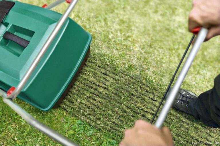 Comment se débarrasser de la mousse naturellement ?