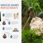 Comment se donner de l'énergie rapidement ?