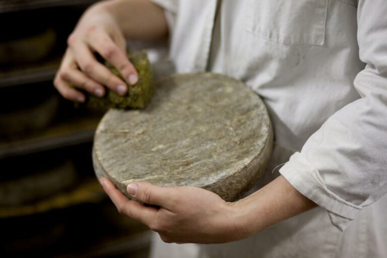 Comment se mange le Saint Nectaire ?