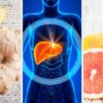 Comment soigner son foie trop gras ?