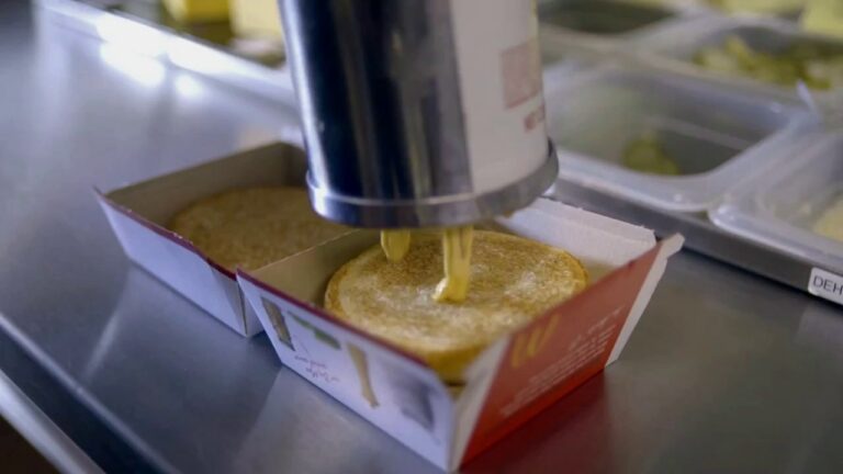 Comment sont fabriqués les steak Mcdo ? Comment sont fabriqués les steak Mcdo ?
