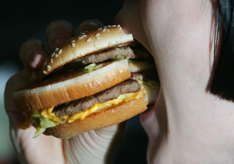 Comment sont fait les burger au McDo ? Comment sont fait les burger au McDo ?