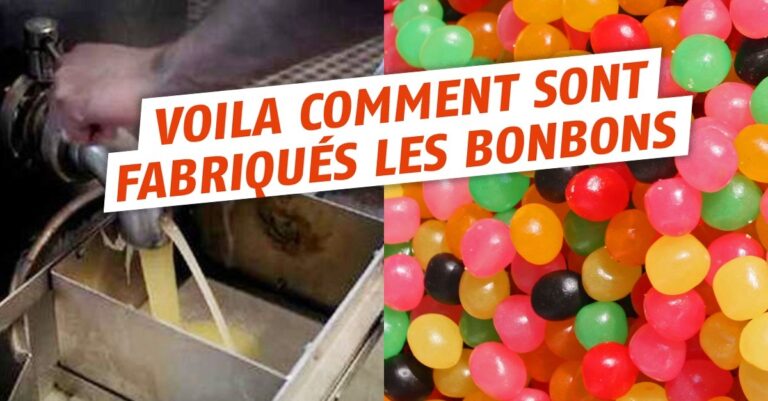 Comment sont les Sardes ? Comment sont les Sardes ?