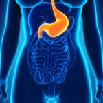 Comment soulager des douleurs à l'estomac ?