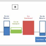 Comment traiter une carence martiale ?