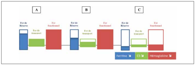 Comment traiter une carence martiale ? Comment traiter une carence martiale ?