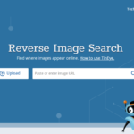 Comment trouver le nom d'une fleur à partir d'une photo ?