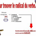 Comment trouver le radical d'un mot ?