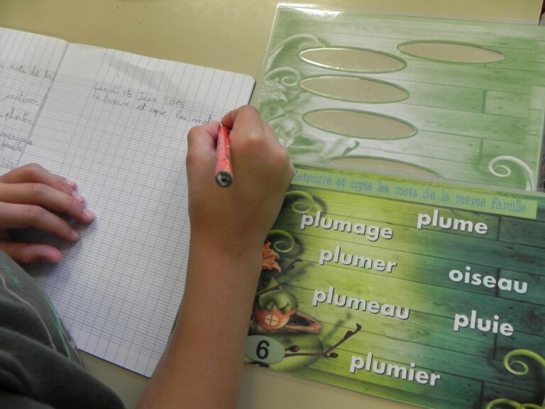 Comment trouver les mots de la même famille ?