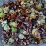 Comment trouver une graine de sapin ?