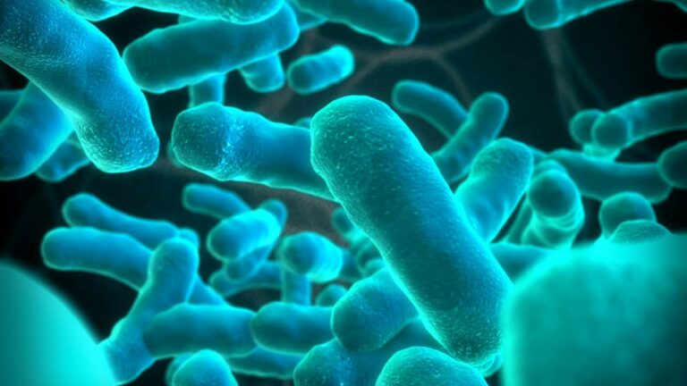 Comment tuer bactérie Listeria ?
