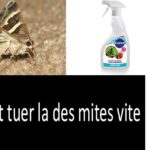 Comment tuer la listériose ?