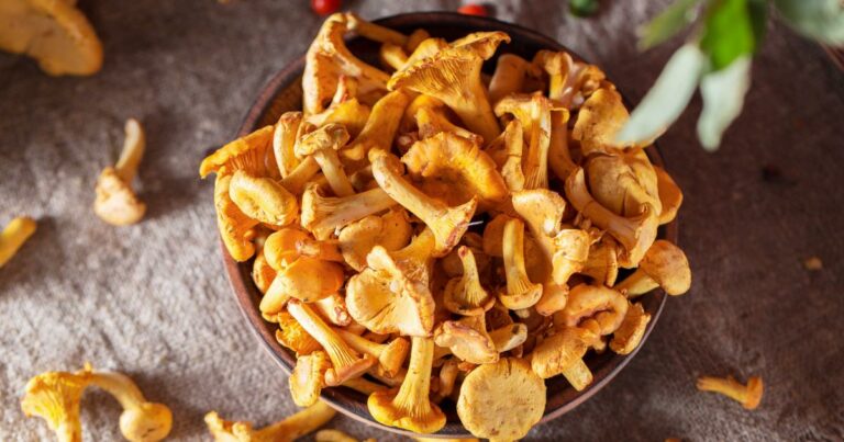 Comment utiliser des girolles congelées ? Comment utiliser des girolles congelées ?